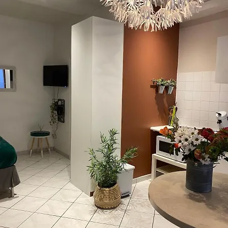 Apartmán Oasis - Center
